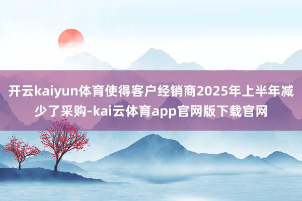 开云kaiyun体育使得客户经销商2025年上半年减少了采购-kai云体育app官网版下载官网
